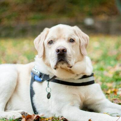 insich Ins Team Zeus